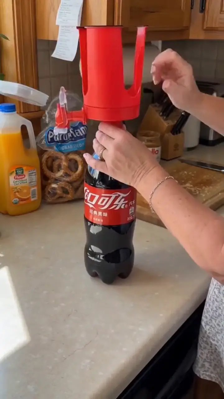 Bottle drink dispenser for sodas and juices